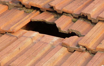roof repair Derwen