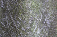 Derwen fibreglass roof work